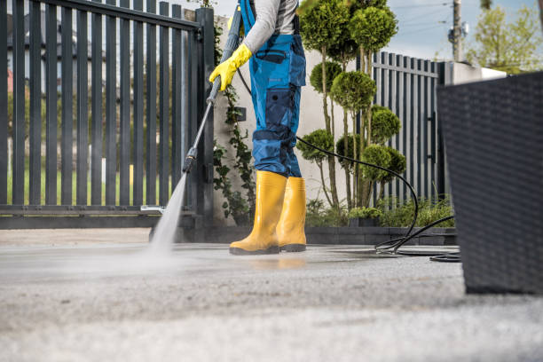 Best Patio and Deck Pressure Washing  in Brainerd, MN